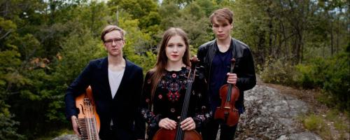 Trio Törn